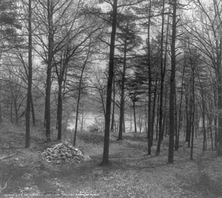 The site of Thoreau’s hut at Walden in Concord, Massachusetts, circa 1908