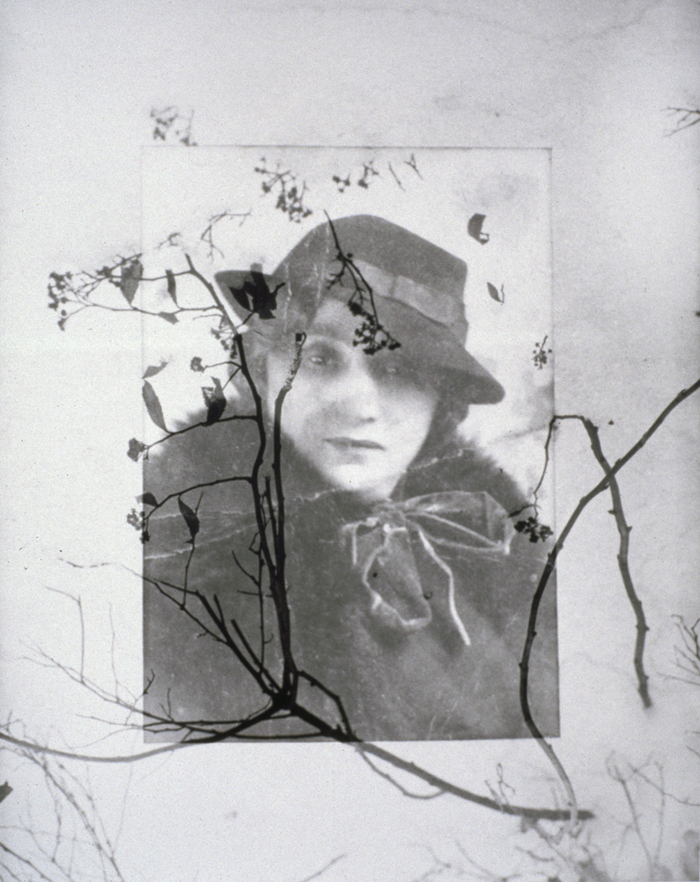 Photo of woman wearing hat with images of branches over it.