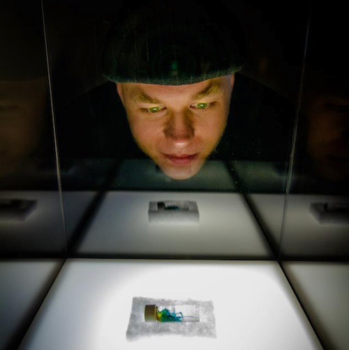 Brandon Ballengee peers into a light box that holds a reliquary with a colorful, mutated amphibian