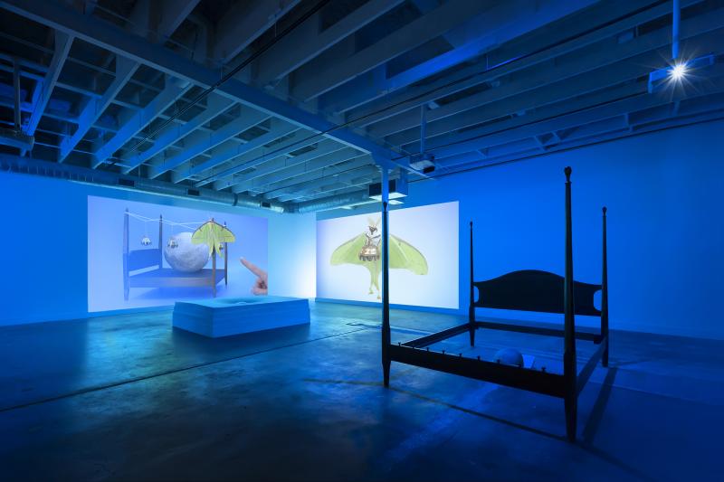 Art exhibit that is in the dark with blue light, featuring a bed frame, a projection (right) that has a green cocoon, and a projection (left) that has a photo of a bedframe with a grey ball and a green cocoon