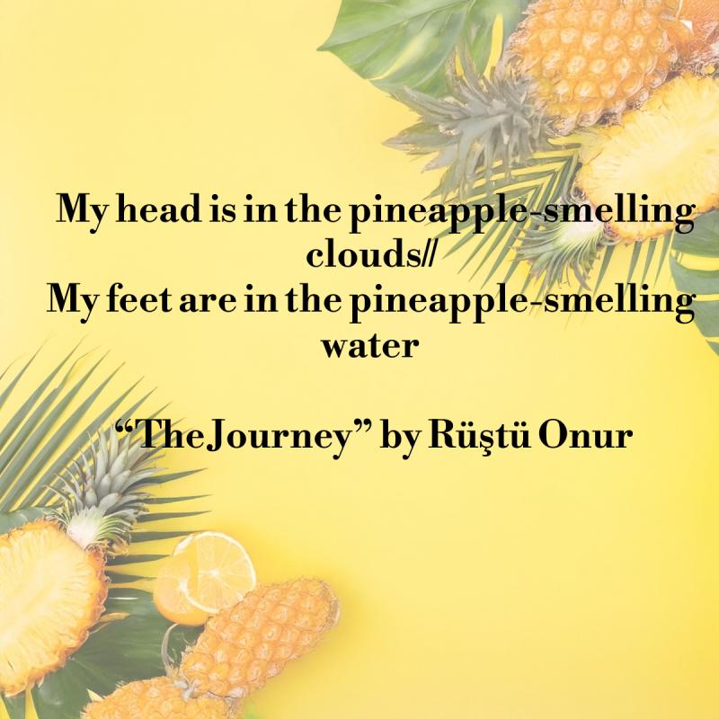 Pineapples Pineapples and their leaves with poem written in black