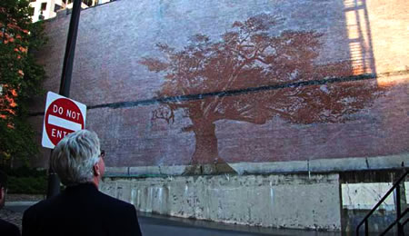 Man looking at a stenciled tree shadow on the side of a building