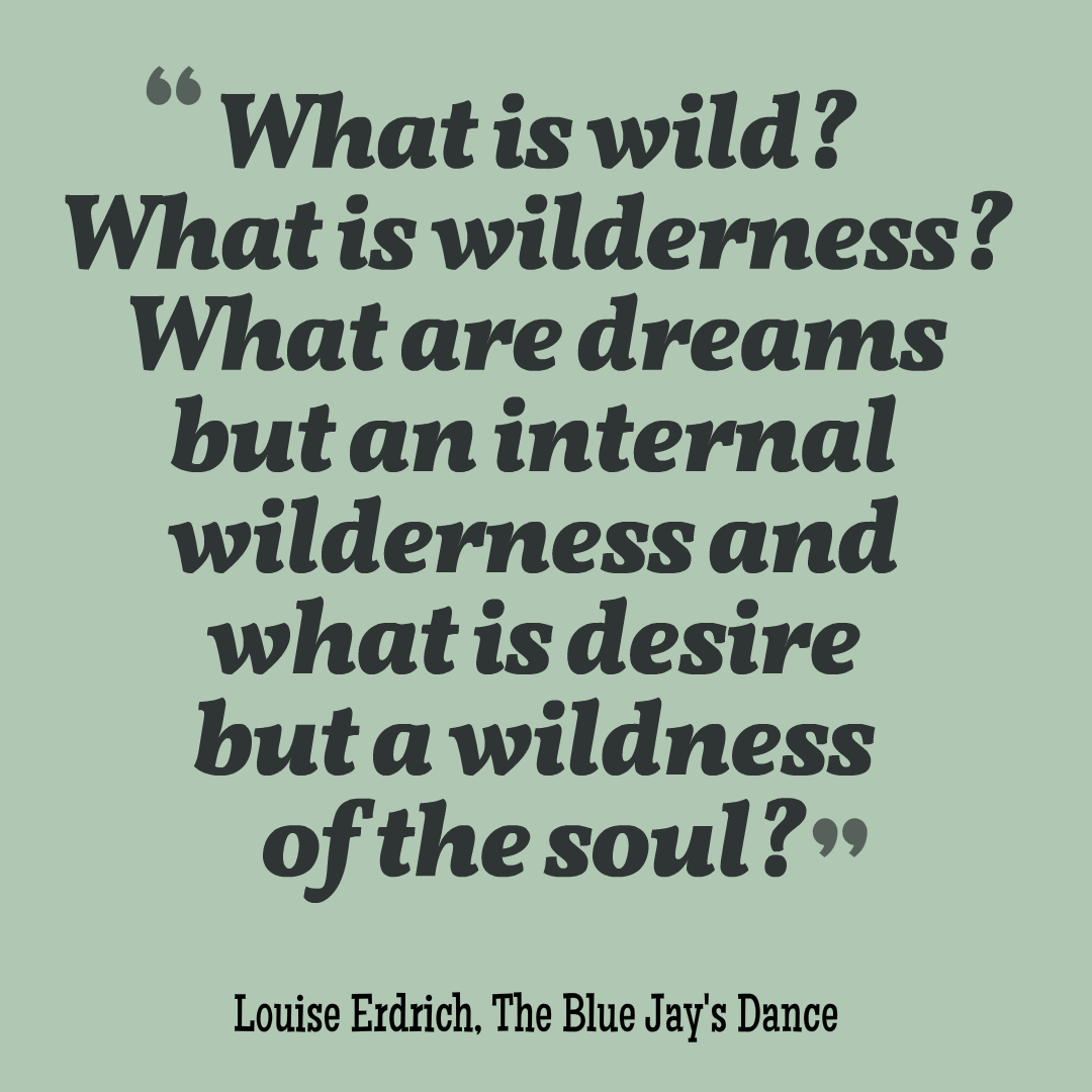 What is wild? What is wilderness? What are dreams but an internal wilderness and what is desire but a wildness of the soul? Louise Erdrich, The Blue Jay's Dance