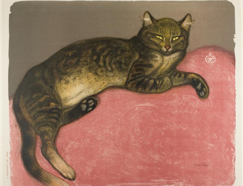 Lithograph of tabby cat on pink cushion