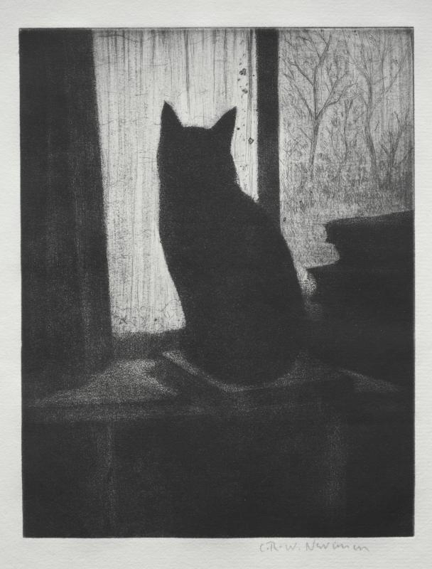 Black and white etching of cat