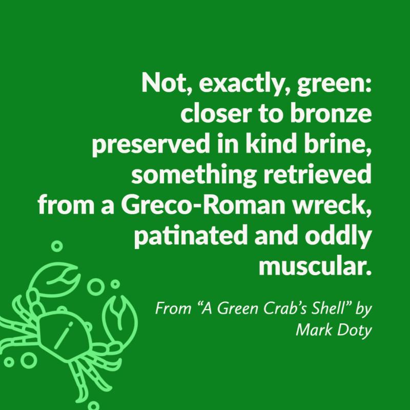 "Not, exactly, green:/ closer to bronze/ preserved in kind brine,// something retrieved/ from a Greco-Roman/ wreck,/ patinated and oddly// muscular." From "A Green Crab's Shell" by Mark Doty