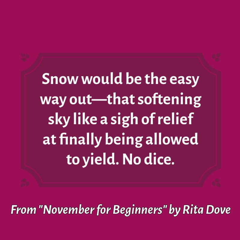 "Snow would be the easy/ way out—that softening/ sky like a sigh of relief/ at finally being allowed/ to yield. No dice." From "November for Beginners" by Rita Dove.