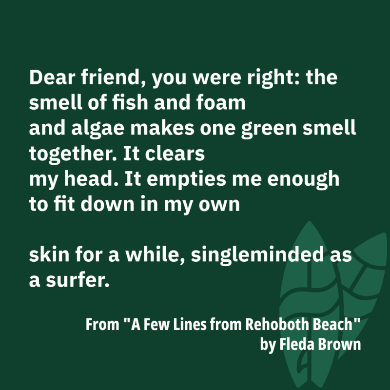 "Dear friend, you were right: the smell of fish and foam/ and algae makes one green smell together. It clears/ my head. It empties me enough to fit down in my own// skin for a while, singleminded as a surfer." From "A Few Lines from Rehoboth Beach" by Fleda Brown
