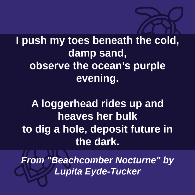 "I push my toes beneath the cold, damp sand,/ observe the ocean’s purple evening.// A loggerhead rides up and heaves her bulk/ to dig a hole, deposit future in the dark." From "Beachcomber Nocturne" by Lupita Eyde-Tucker