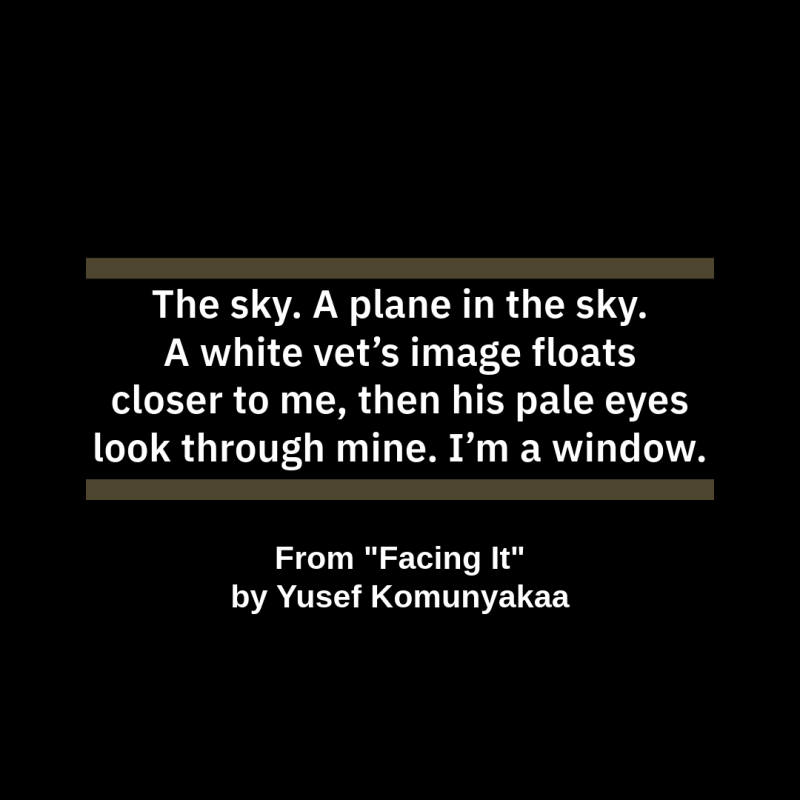 "The sky. A plane in the sky./ A white vet’s image floats/ closer to me, then his pale eyes/ look through mine. I’m a window."   From "Facing It" by Yusef Komunyakaa