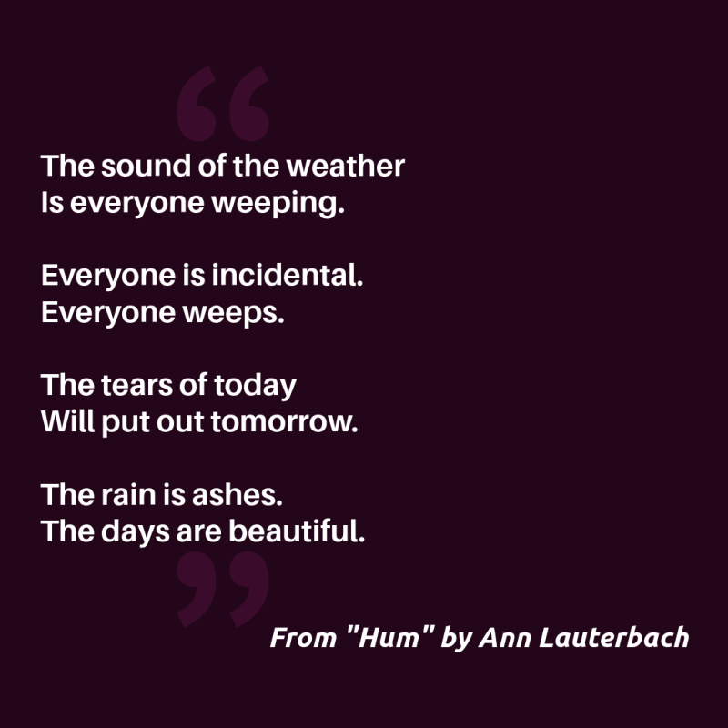 "The sound of the weather/ Is everyone weeping.// Everyone is incidental./ Everyone weeps.// The tears of today/ Will put out tomorrow.// The rain is ashes./ The days are beautiful."   From "Hum" by Ann Lauterbach