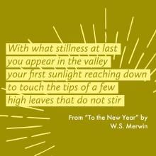 With what stillness at last you appear in the valley your first sunlight reaching down to touch the tips of a few high leaves that do not stir. From "To the New Year" by W.S. Merwin