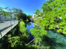 In between buildings and chain link fences runs a creek surrounded by wild greenery.