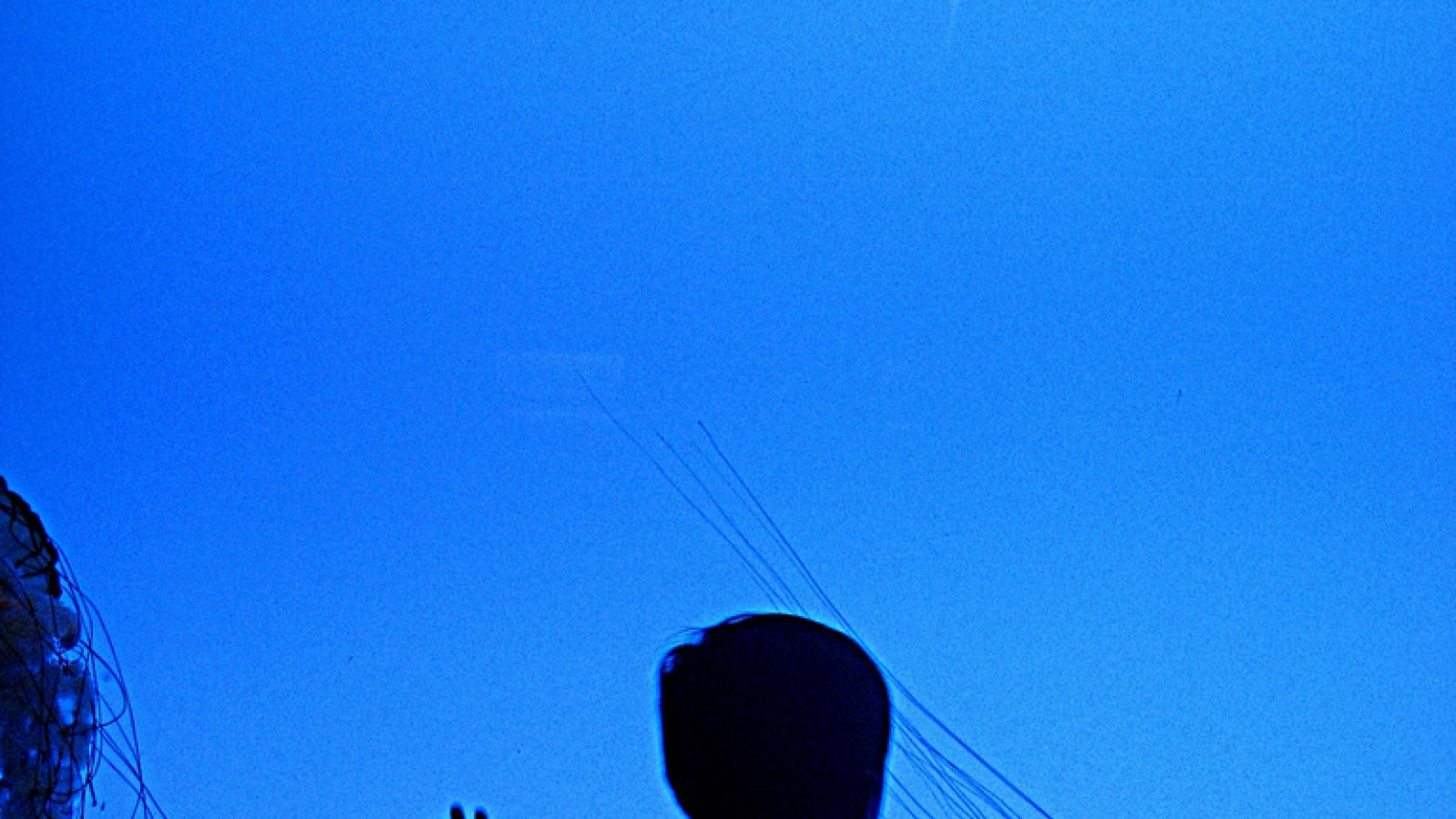 A child at an aquarium A silhouette of a child looking at jellyfish through aquarium glass