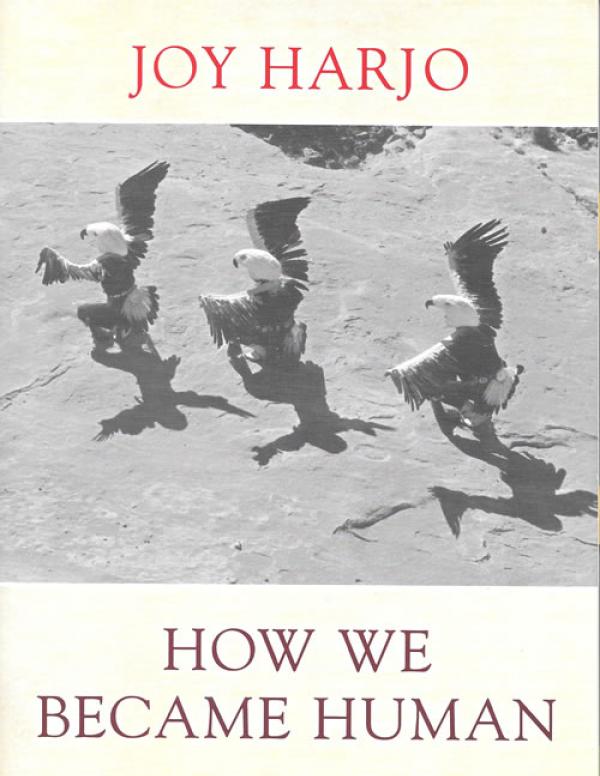 how we became human new and selected poems 1975 2001